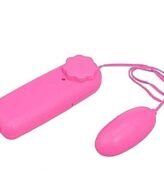 Egg Vibrator