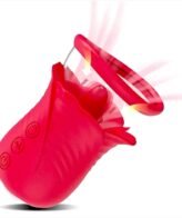 Licking and sucking vibrator