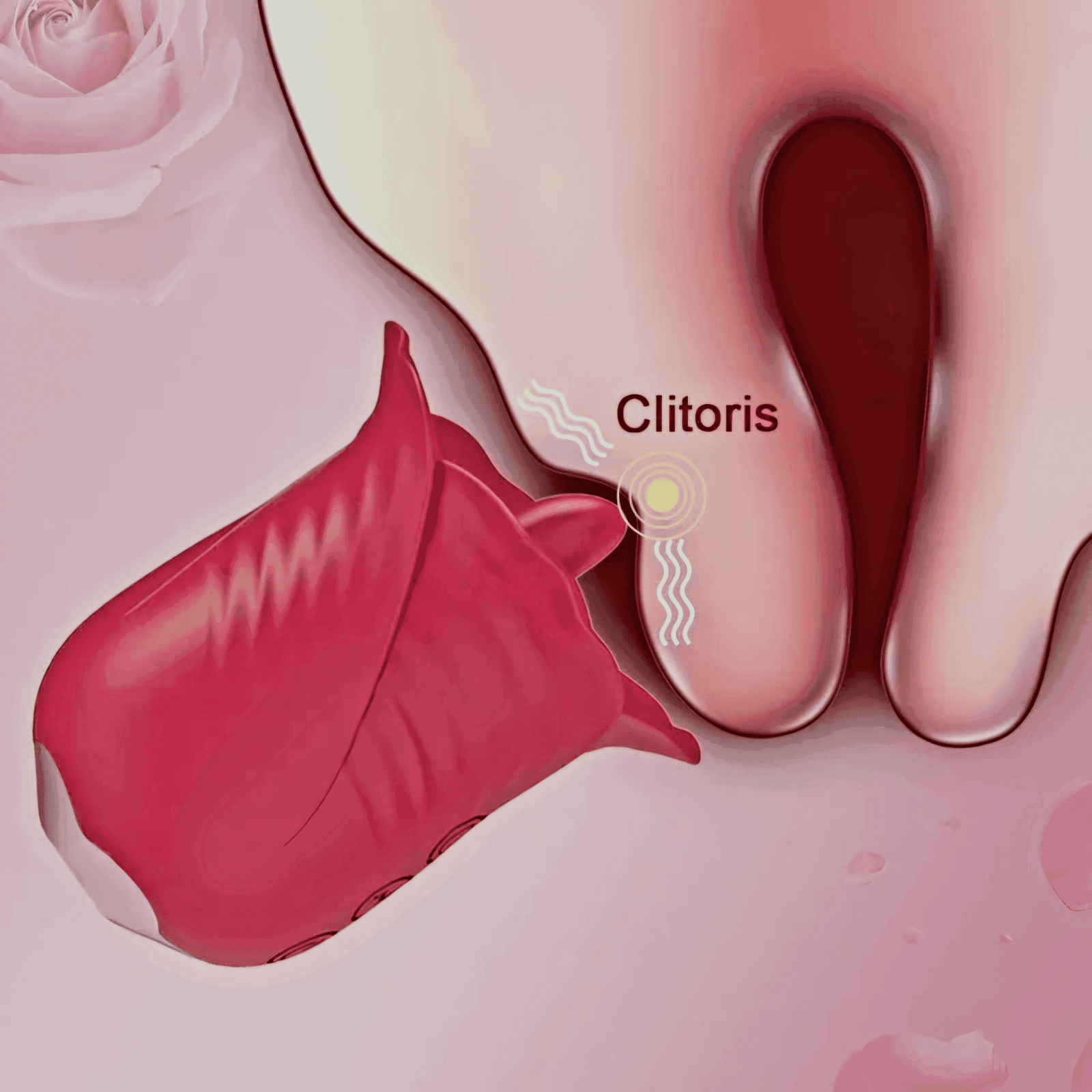 Rose vibrator 3 in1, Licking, Sucking Vibrating - Image 5